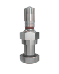 truck TPMS valve 40mm nickel plated - Italy