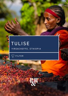 Single Origin 250g (Filter)