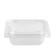 Square Containers & Lids