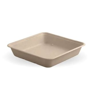 BioCane Trays Large 1750ml 300/Ctn
