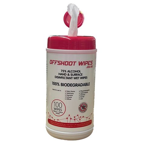 Antibacterial Alcohol Wipes 100/pkt