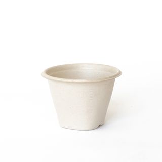Pulp Soup Bowls / Cups 16oz (Ctn) 1000