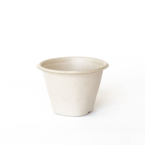 Pulp Soup Bowls / Cups 16oz (Ctn) 1000