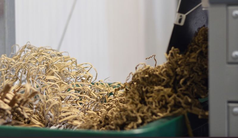 Sustainable Packaging Is Now a Budget Strategy, Not a Premium