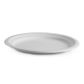 BIO 12.5 INCH OVAL PLATE B-PL-16-2 (SLV)