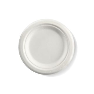 BIO 6 INCH  ROUND PLATE B-PL-06 (SLV)