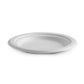 BIO 6 INCH  ROUND PLATE B-PL-06 (SLV)