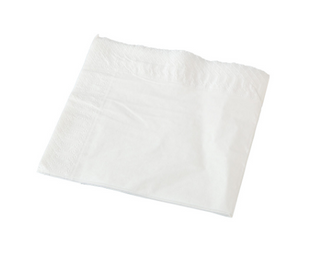 2PLY DINNER WHITE 1/4 FOLD NAPKIN (SLV)