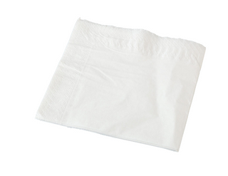 2PLY GT-LUNCH WHITE NAPKIN (SLV)