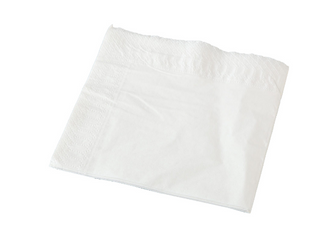 2PLY GT-LUNCH WHITE NAPKIN PKT