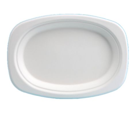 BIO 9 X 6 INCH OVAL PLATE (SLV)