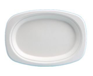 BIO 9 X 6 INCH OVAL PLATE (SLV)