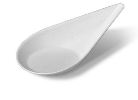 SUGARCANE TASTER SPOON CTN 1000/CTN