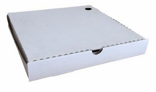 13 INCH WHITE PIZZA PLM (100)