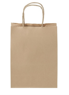 SML UBER CARRY BAG PLM 270X210X120MM