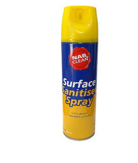 SANITISER SPRAY AEROSOL EACH