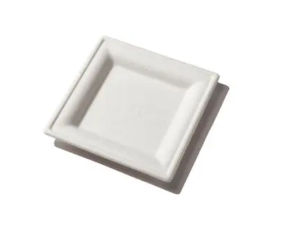 SQUARE SUGARCANE PLATE