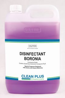 DISINFECTANT BORONIA 22502