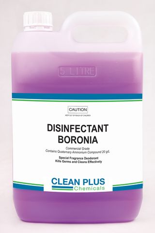 DISINFECTANT BORONIA 20L 22503