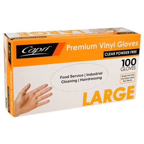 VINYL GLOVE P-FREE LARGE (PKT)