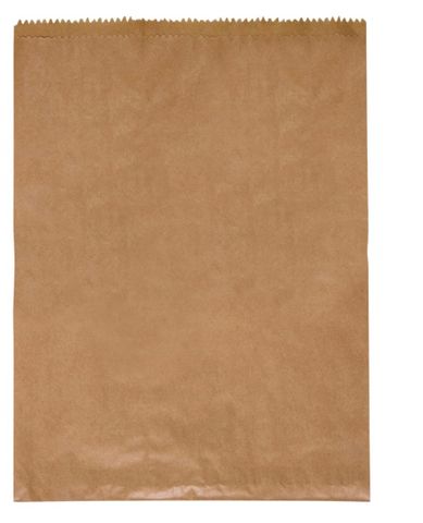 12F BROWN PAPER BAG 380X290MM