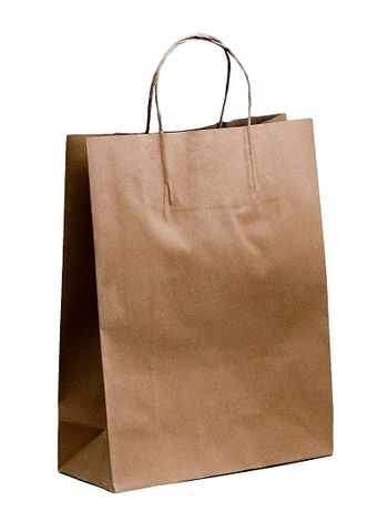 SMALL(B) TWIST CARRY BAG 350x260+110MM