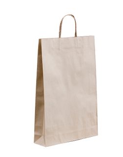 MEDIUM (B) TWIST  PAPER BAG 480X340+110