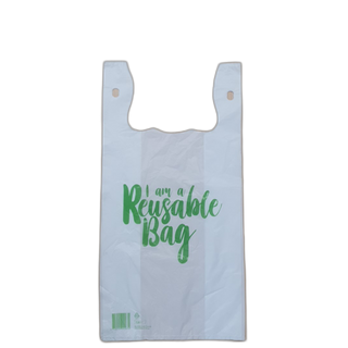SMALL CARRY 36 MIC SLV(NSW ONLY)