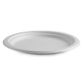 BIO 10 INCH ROUND PLATE  B-PL-10 CTN