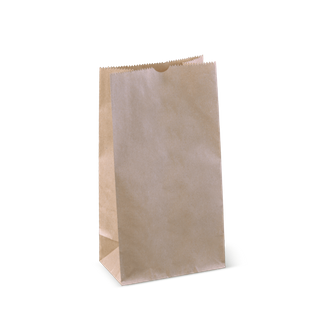 Carry Bags - Paper