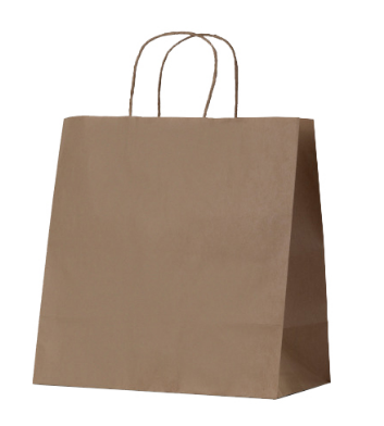 MED UBER CARRY BAG PLM 310X300X180MM