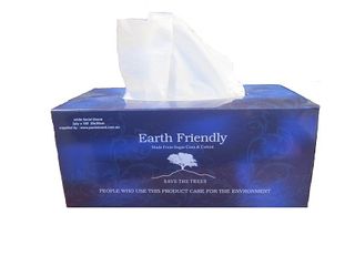 2 PLY FACIAL TISSUE 200 SHEET 2024CW (PKT)