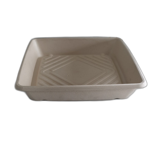 SUGARCANE PLATTER UNBLEACHED-SMALL BWCTS CTN