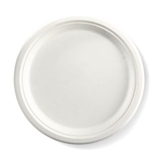 BIO 10 INCH  ROUND PLATE B-PL-10 (SLV)