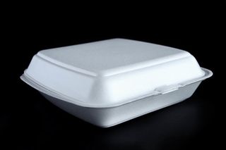 FC17  FOAM CLAM  OPEN  DINNER (SLV)