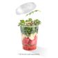 BIO FLAT LID 240-960ML C-121