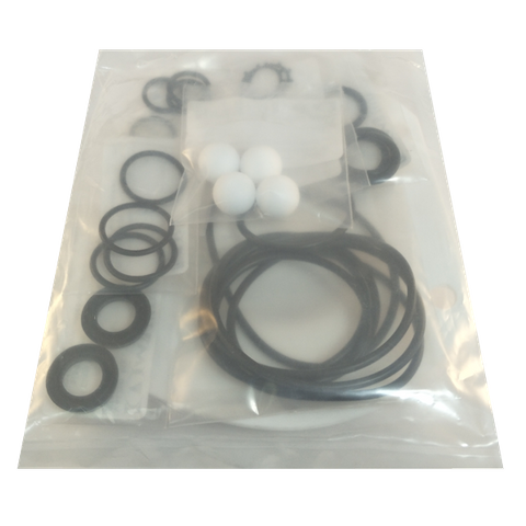 Pump seal kit; DD-1 pump with Teflon diaphragms & check valves