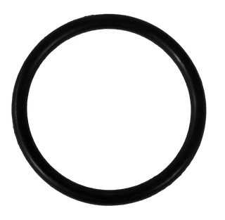 O'ring; DD-1 pump (old style); viton