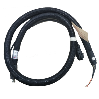 Hose AD31 230V 8FT #6