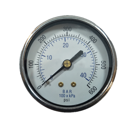 6:1 Proportional Fluid Regulator Assembly; Gauge and Protector Assy; 0-600 PSI