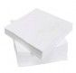 QLTD DINNER NAPKIN WHT 2 PLY 1/4 FLD,DNQ-QTR,ND0170,NQDW(100/1000)