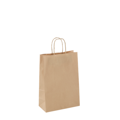 SMALL BROWN TWIST HANDLE BAG (BKPT350) (C036S0029)