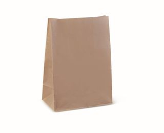 C BAG (C606S0010)(1000)