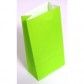 1 GIFT BAG LIME GREEN (C385S0054) discontinued