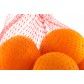 CITRUS SACKS NET (100 SLV) (PN290811)