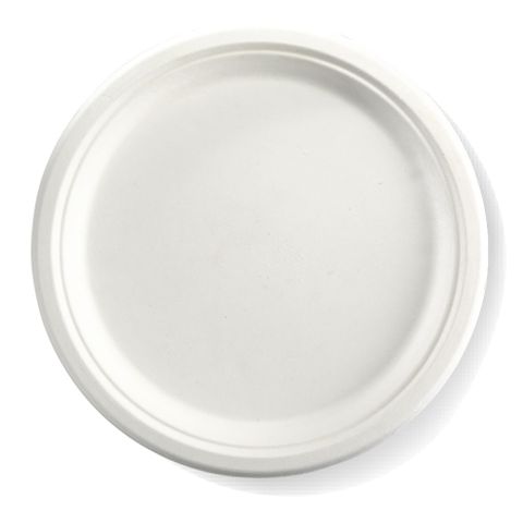 BIOCANE 10'' PLATE WHITE (50/500)