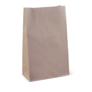 25 XL BROWN B/BOTTOM BAG SOS(C528S0010)(100)