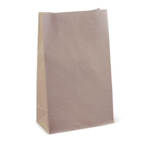 25 XL BROWN B/BOTTOM BAG SOS(C528S0010)(100)