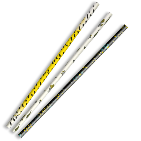 BIOPAK JUMBO FSC MIX ART SERIES STRAW 100/PKT (25/CTN)