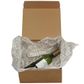 BROWN CORRUGATED BOX NATURAL MEDIUM 25(L) x 25(W) x12(H) cm